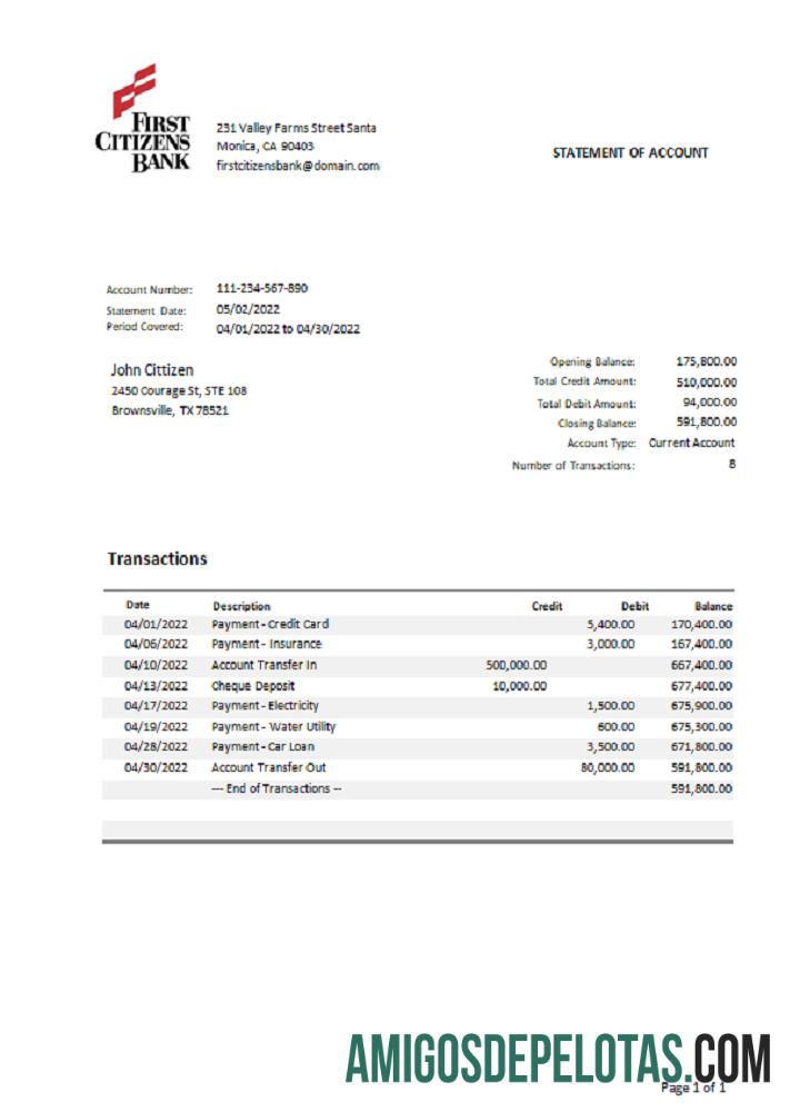 em branco Extrato bancário do Texas First Citizens dos EUA modelo Word e PDF.1